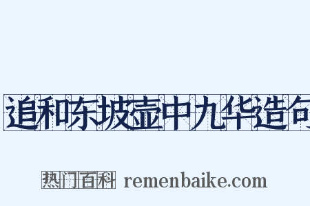 追和东坡壶中九华造句是什么意思的图片